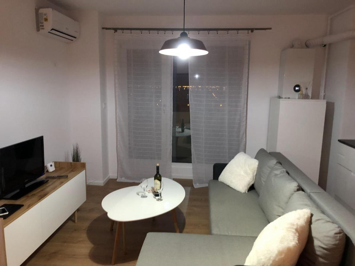 Chronos Apartment - Modern And Stylish Timișoara Zewnętrze zdjęcie